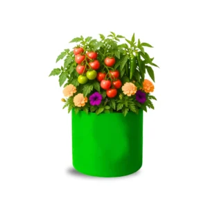 Grow Bag (24 in X 24 in)